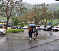 250517 전국약대생축제